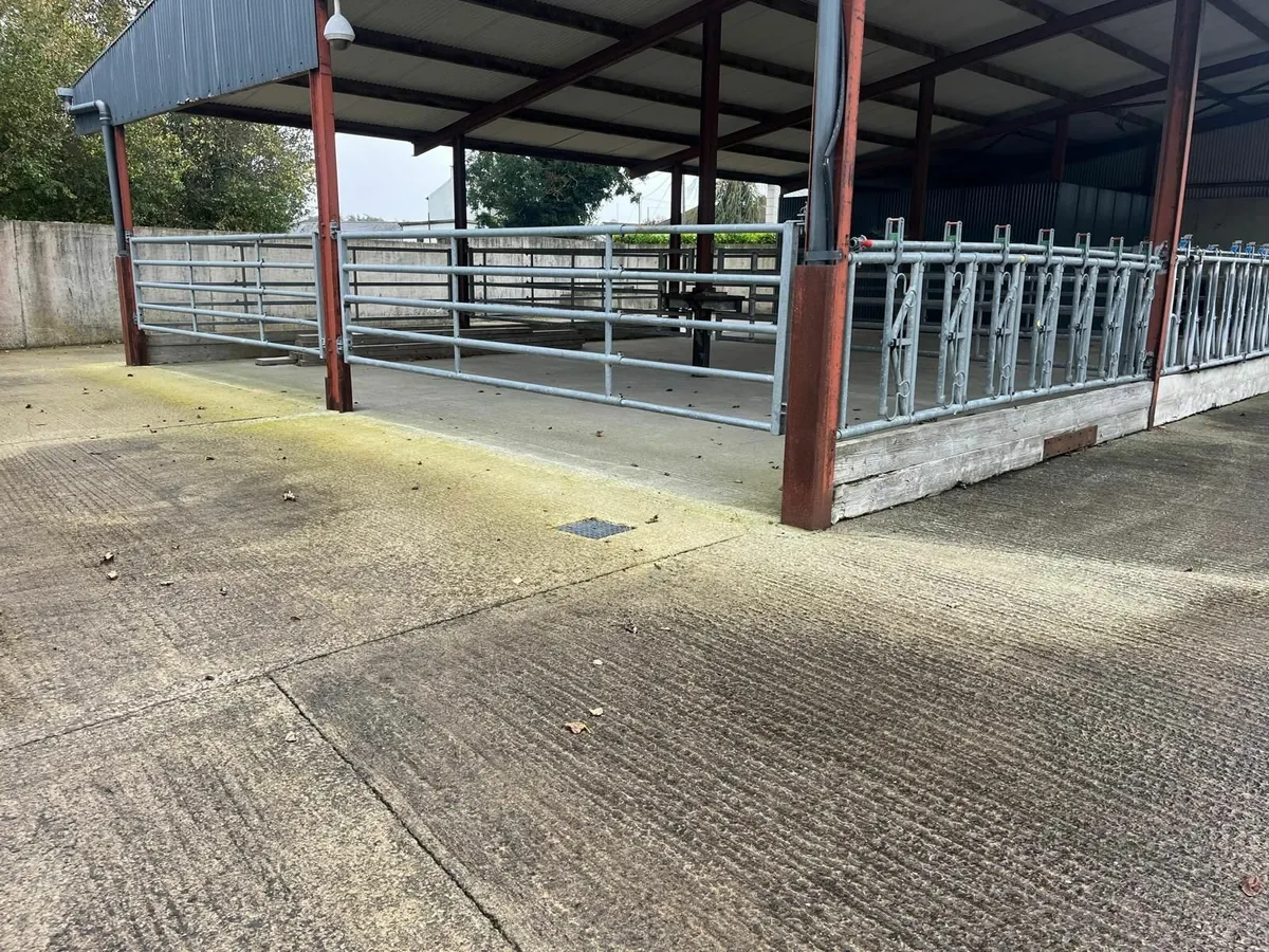 Cattle Feed Barriers, Headlocks & Gates - Image 1