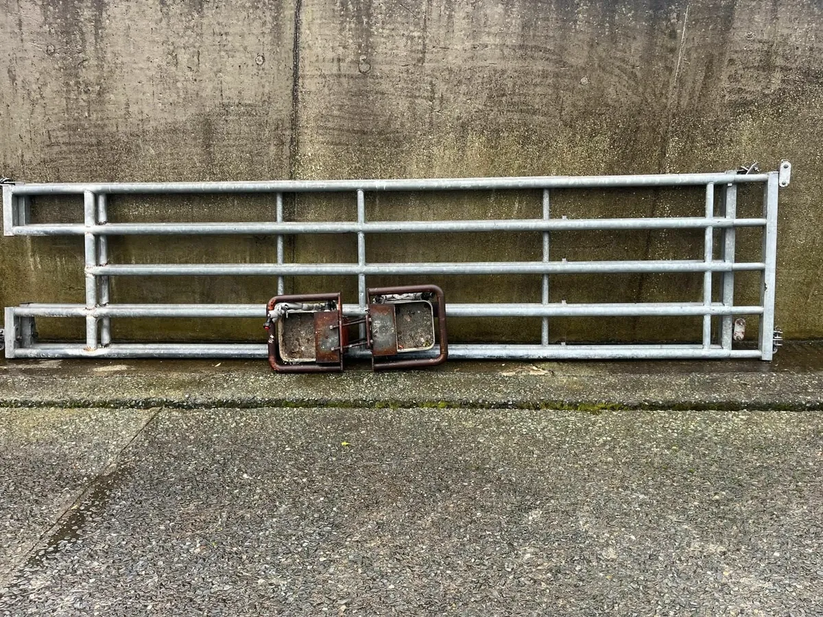 Cattle Feed Barriers, Headlocks & Gates - Image 3