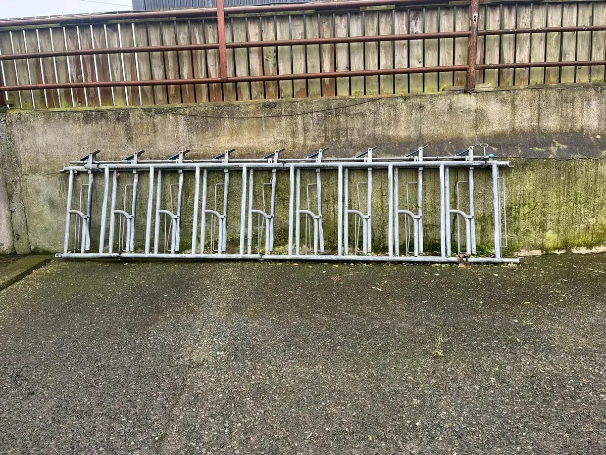 Cattle Feed Barriers, Headlocks & Gates - Image 4