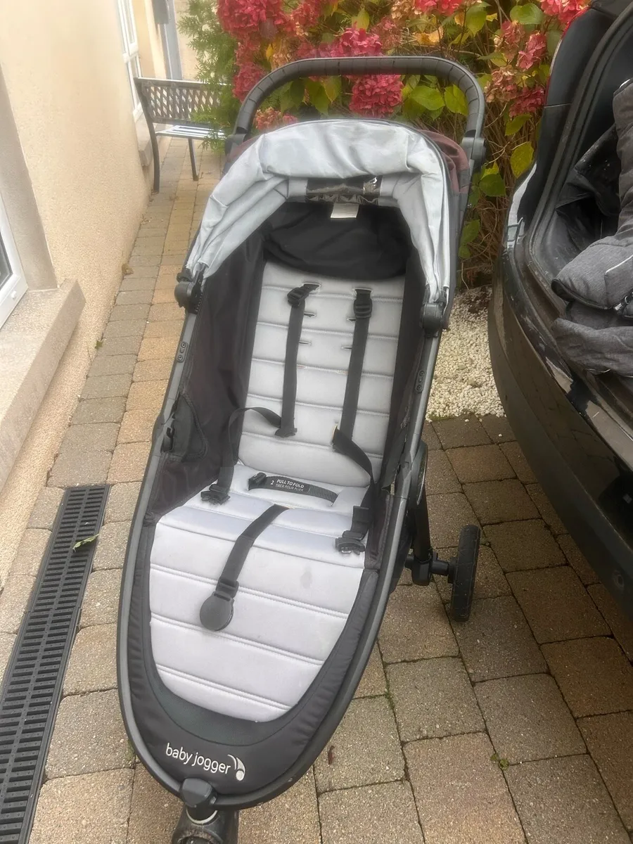 Buggy - Image 1