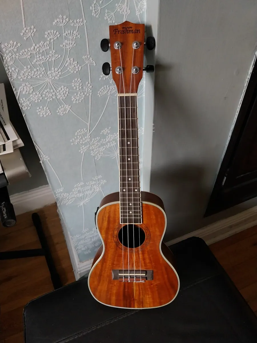 Freshman Ukulele, model UKKOACE - Image 1