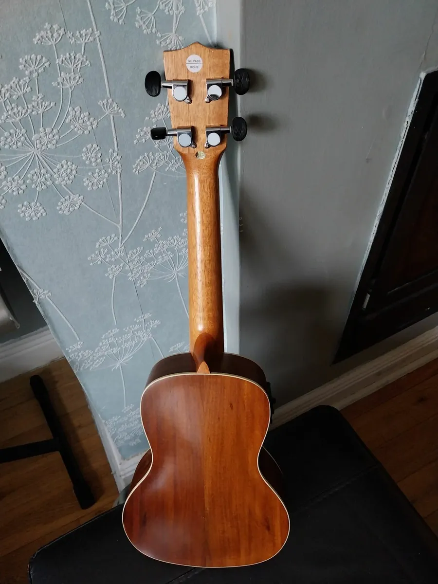 Freshman Ukulele, model UKKOACE - Image 2