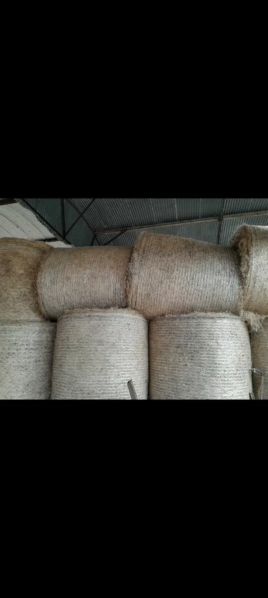 Hay and Silage