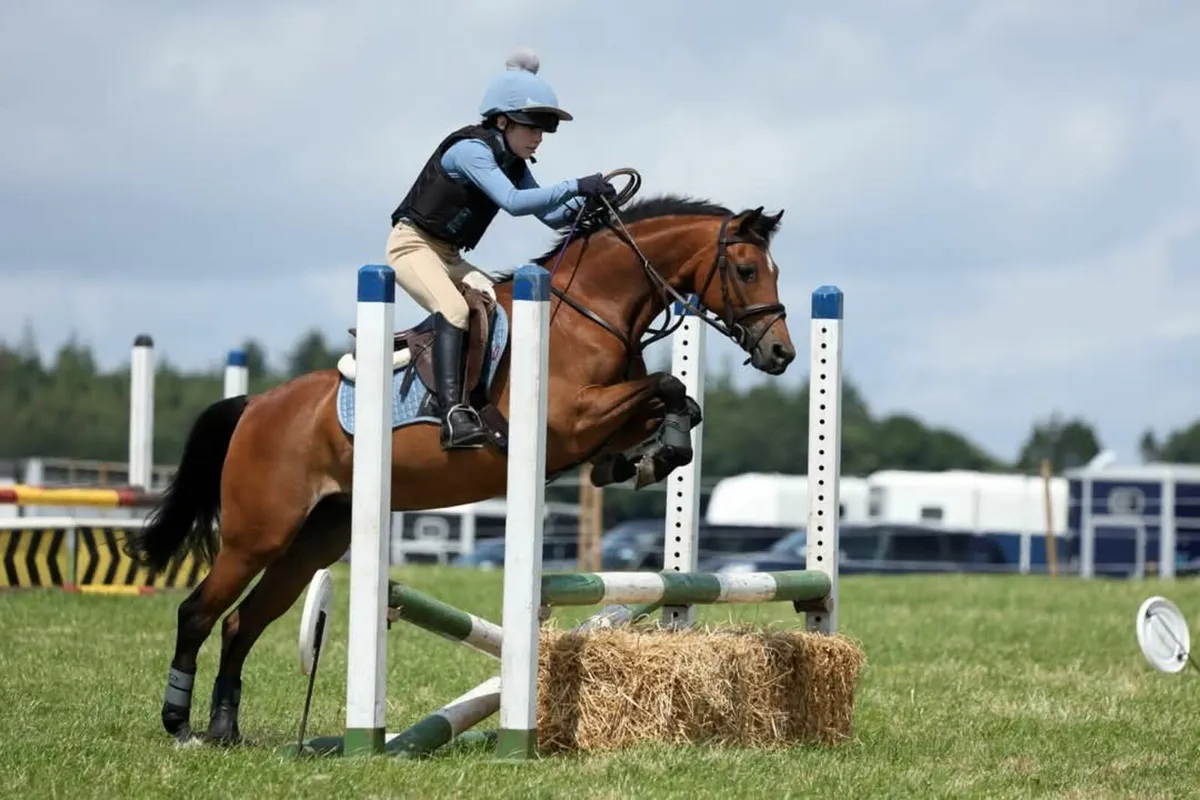 Pony 13.2 - Image 3