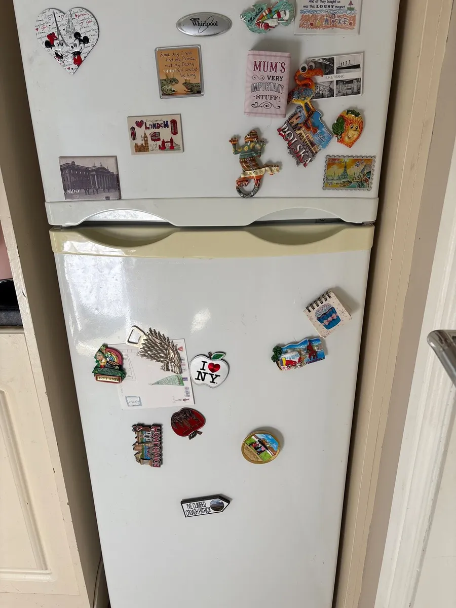 Fridge / Freezer