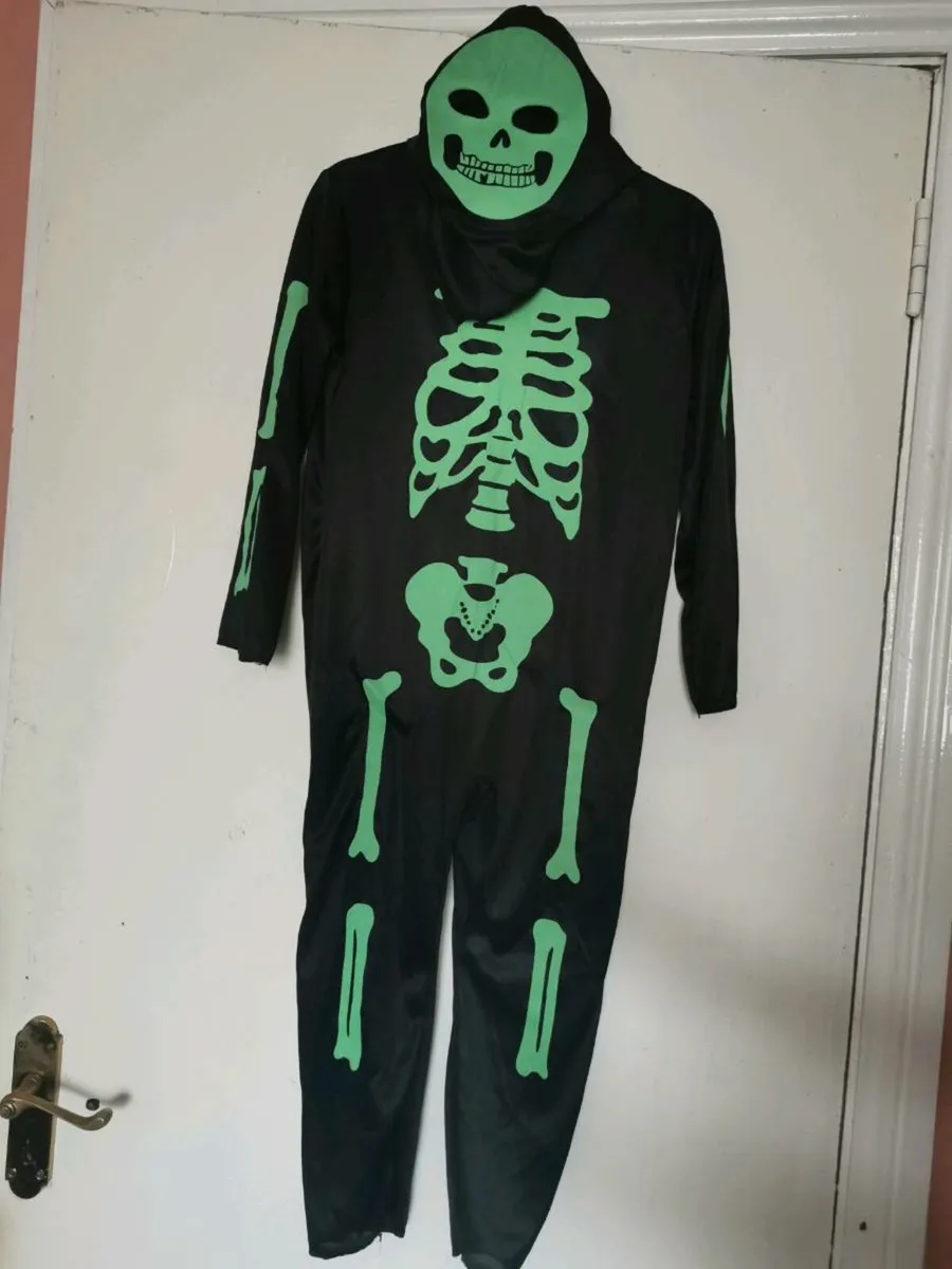 Halloween costume - Image 1