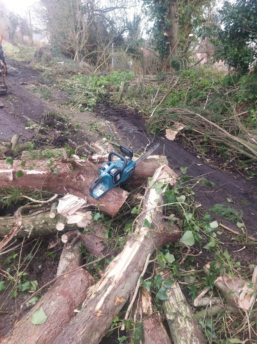 Log splitter for hire - Image 1