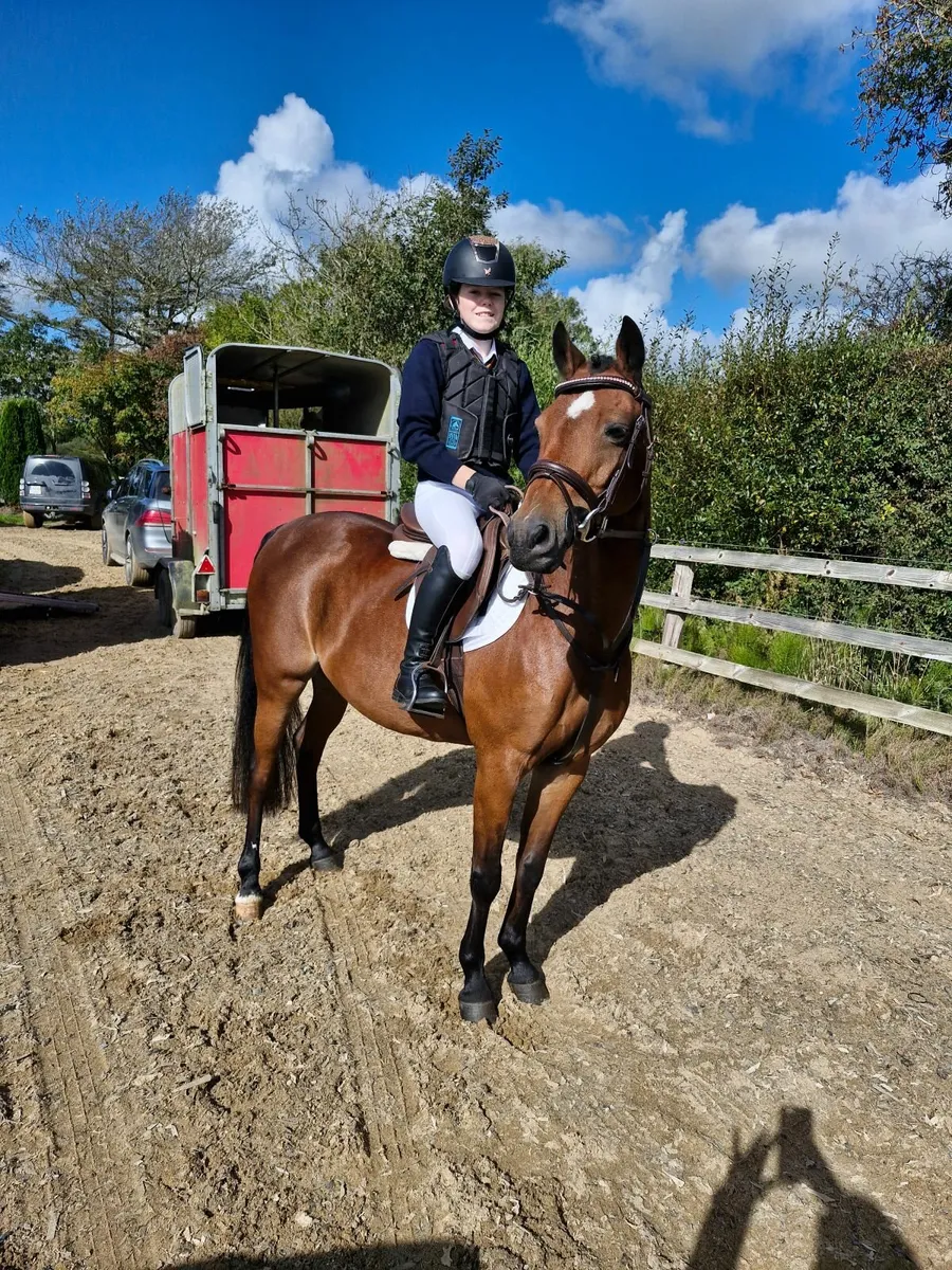 Pony 13.2 - Image 1