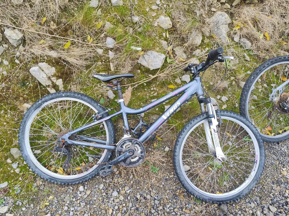 3 bicycles - Image 3