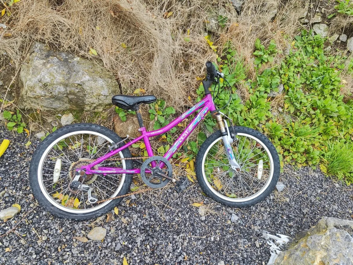 3 bicycles - Image 4