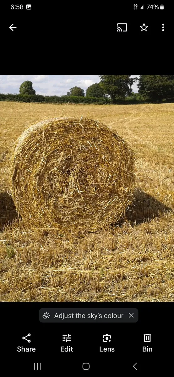 Straw - Image 1