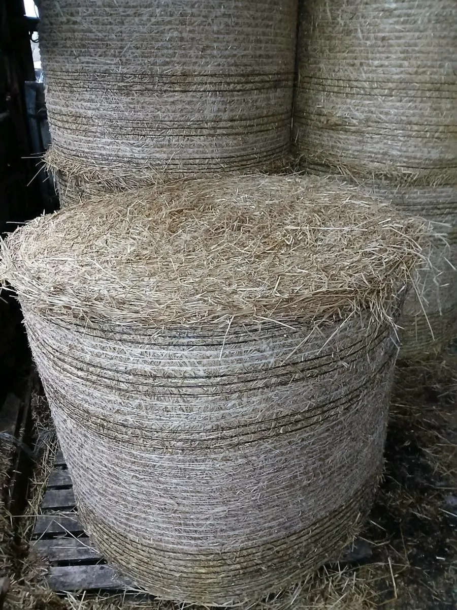 Straw - Image 3