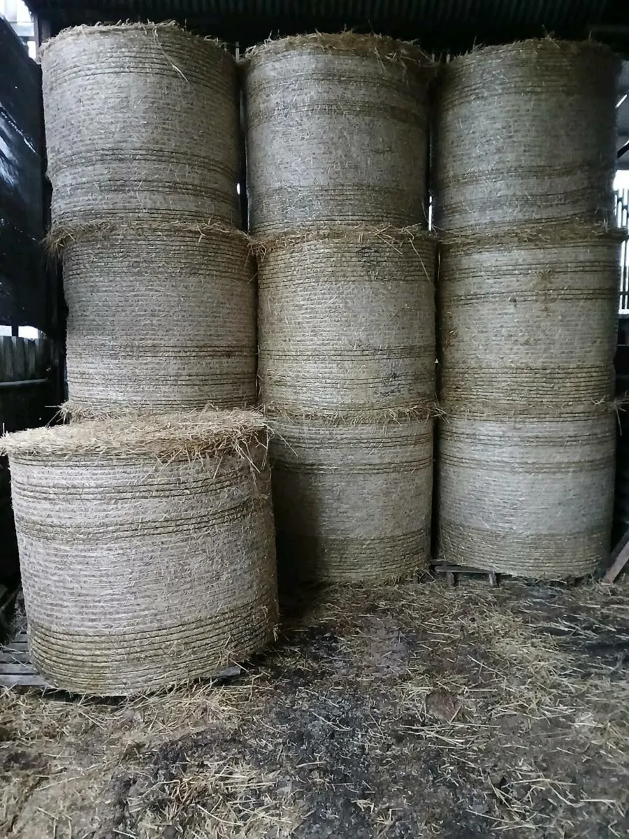Straw - Image 2