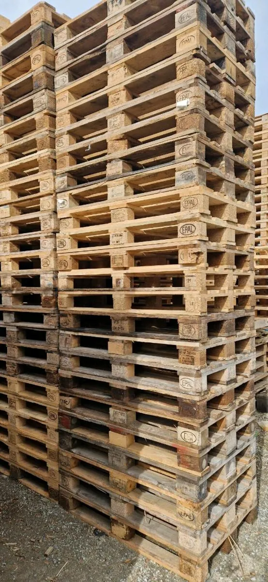 Euro Pallets - Image 1