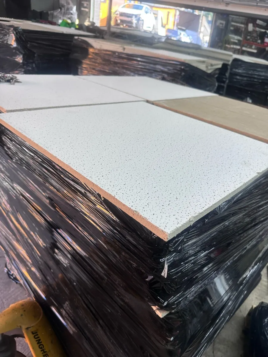 Ceiling tiles - Image 1