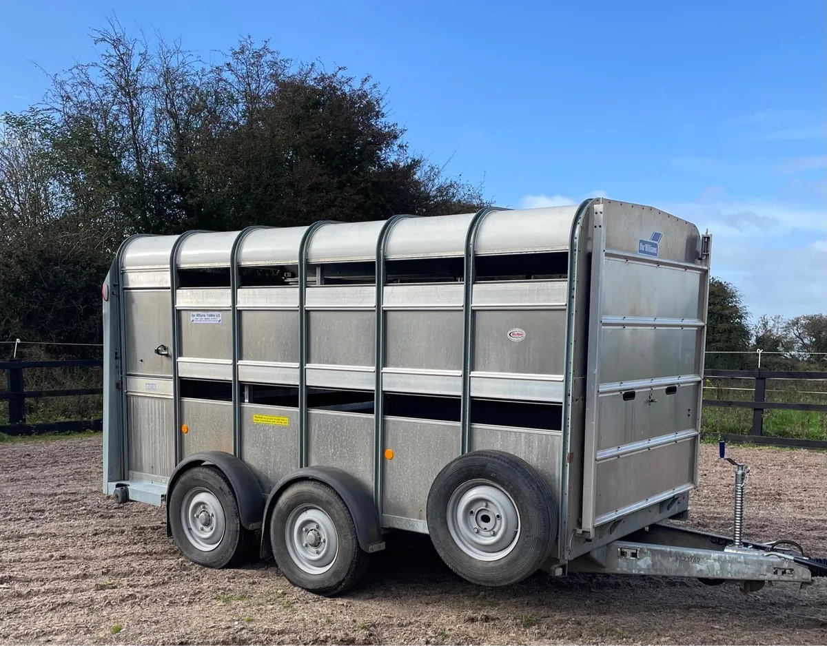 Ifor Williams cattle/sheep trailer - Image 1