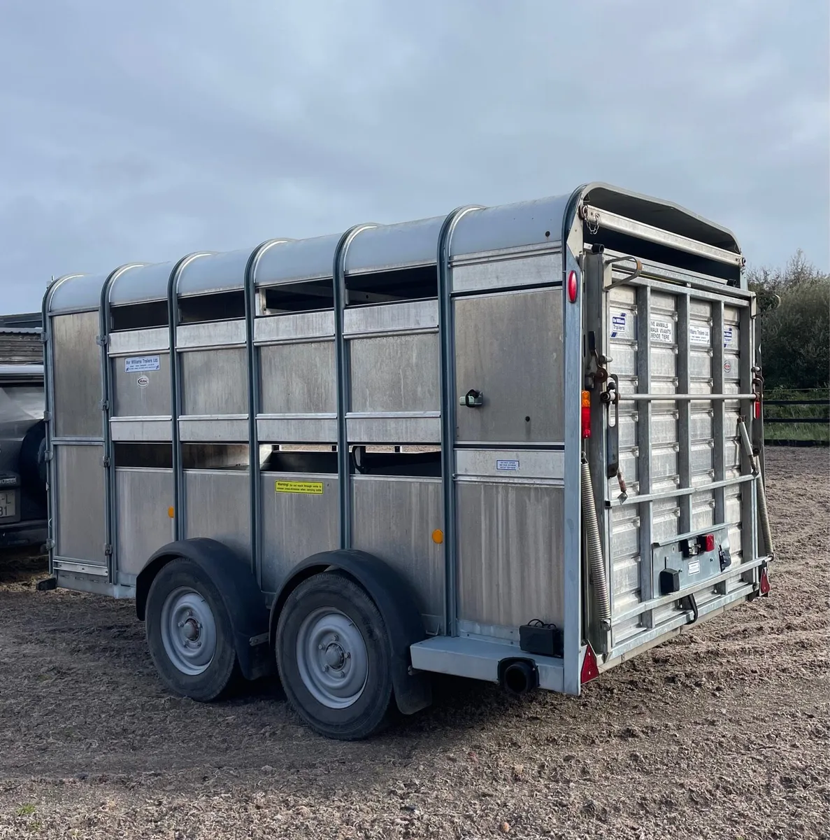 Ifor Williams cattle/sheep trailer - Image 4