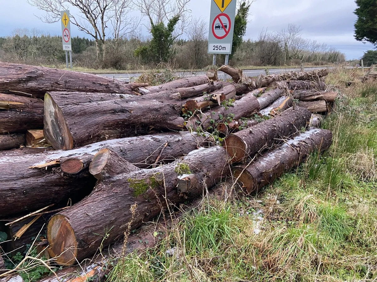 Logs - Image 4