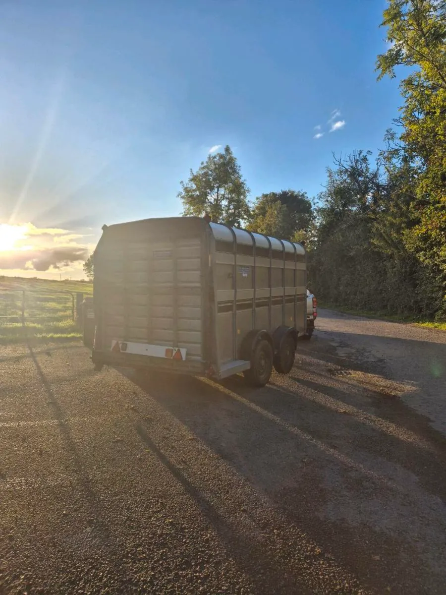 12 x 6 ifor williams - Image 2