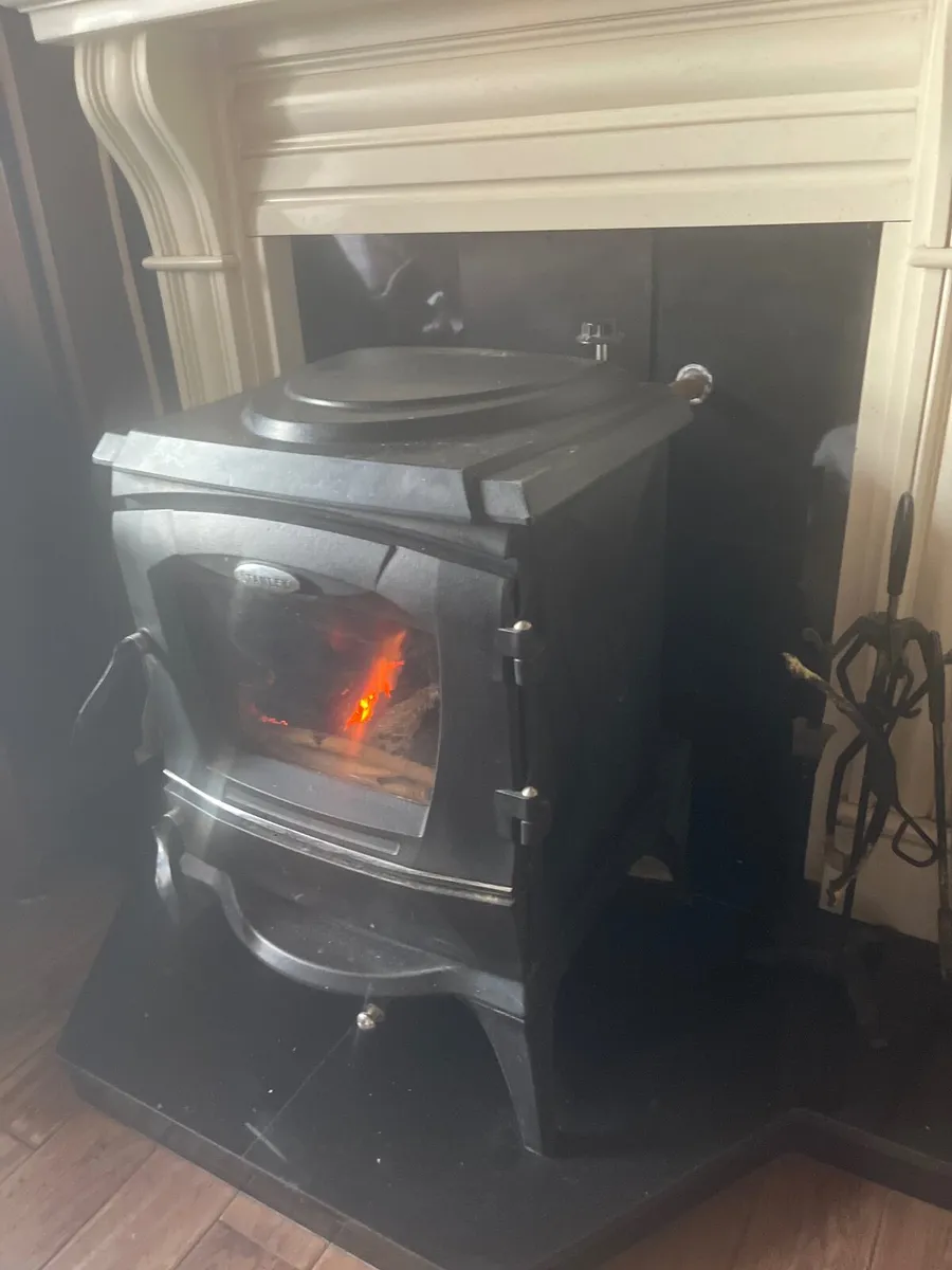 Stanley Stove - Image 3