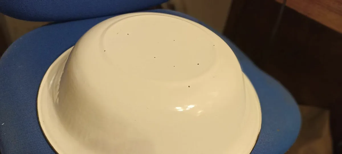 Enamel Basin - Image 1