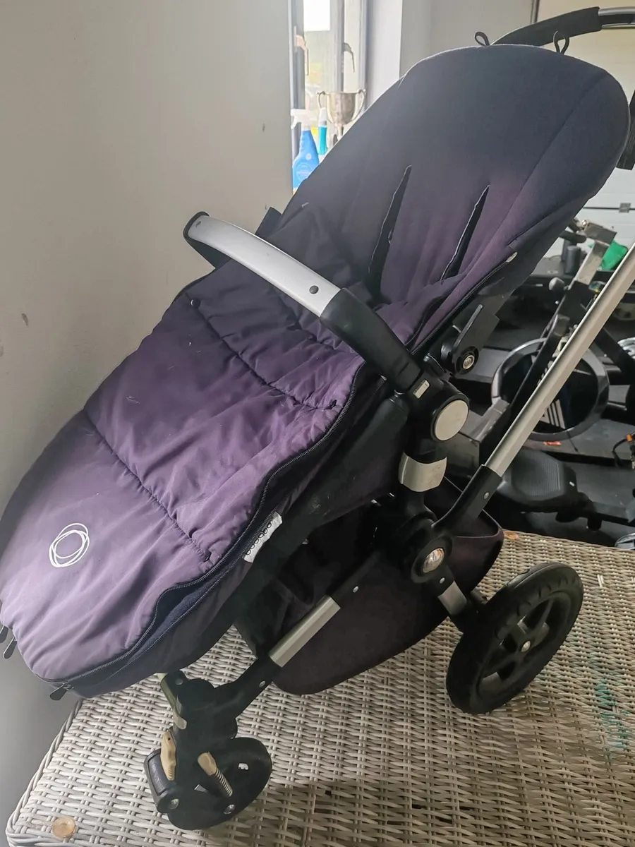 Buggy Bugaboo