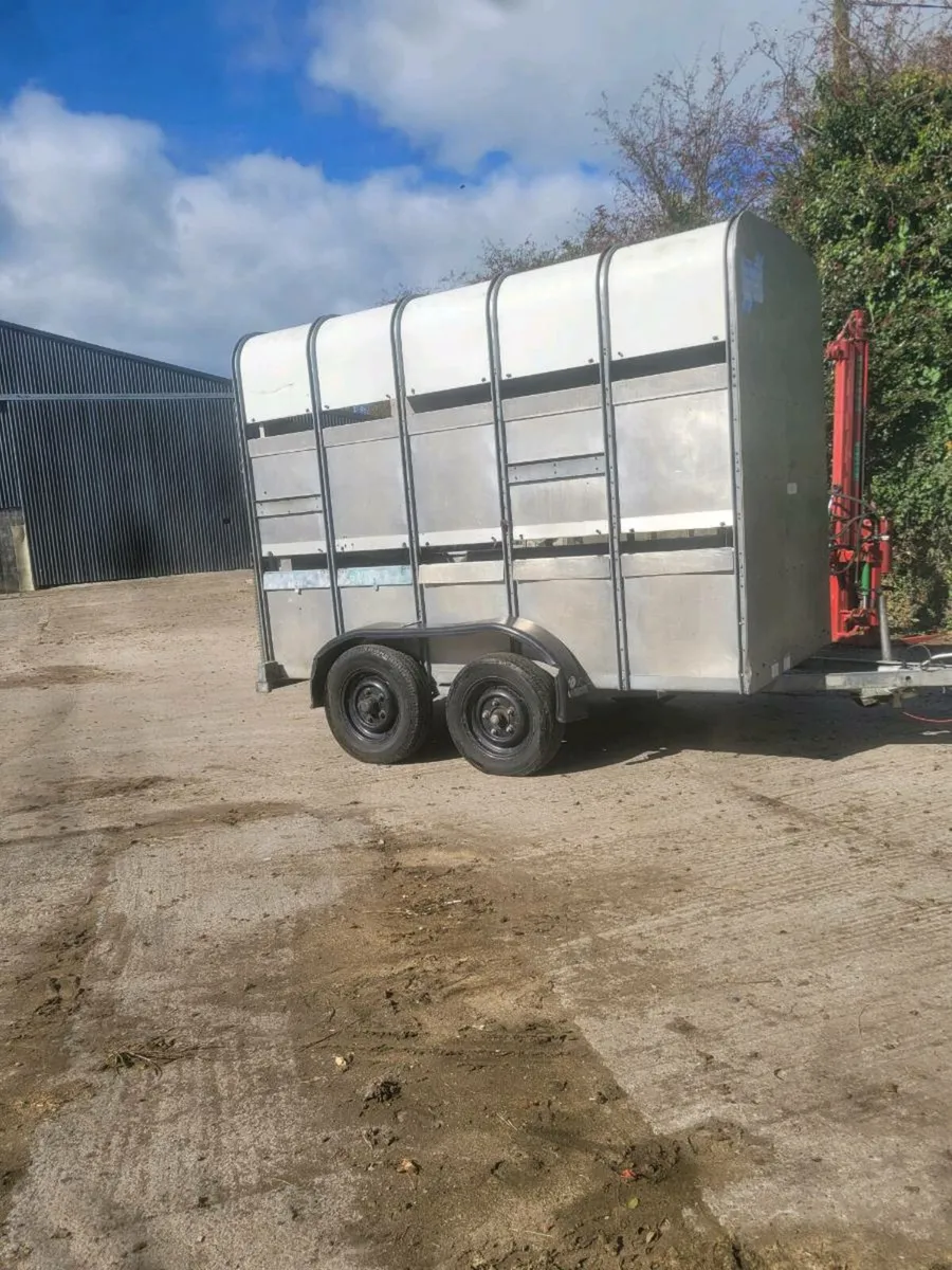 Ifor williams 10 X 5 X 7 - Image 1