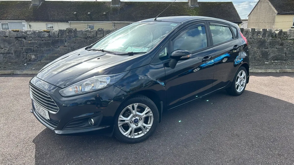 IMMACULATE FIESTA 12 Month NCT - Image 1