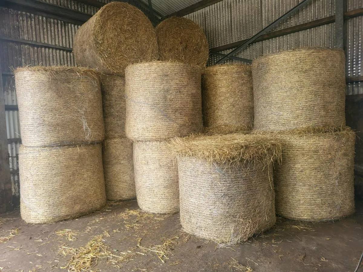 Straw  for sale - Image 1
