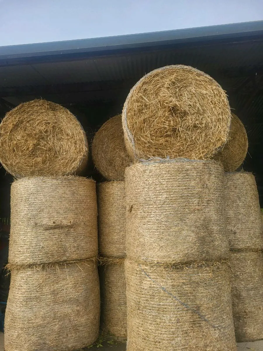 Straw  for sale - Image 4
