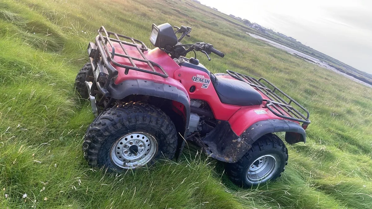 Honda 450foreman and trailer - Image 3