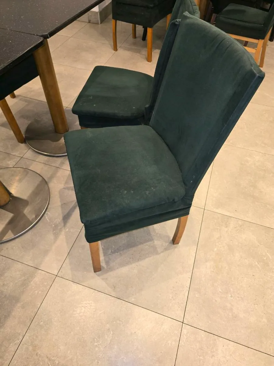 Restaurant chairs for sale, - Image 2
