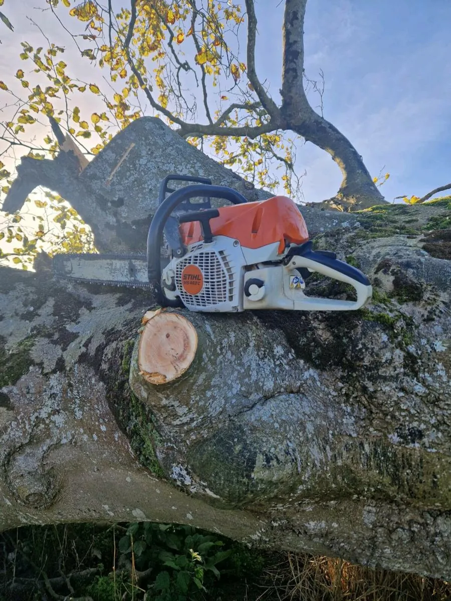 Firewood 🔥 - Image 2