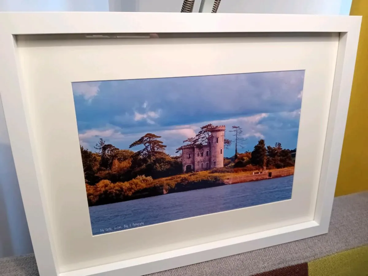 Fota Castle - Image 3