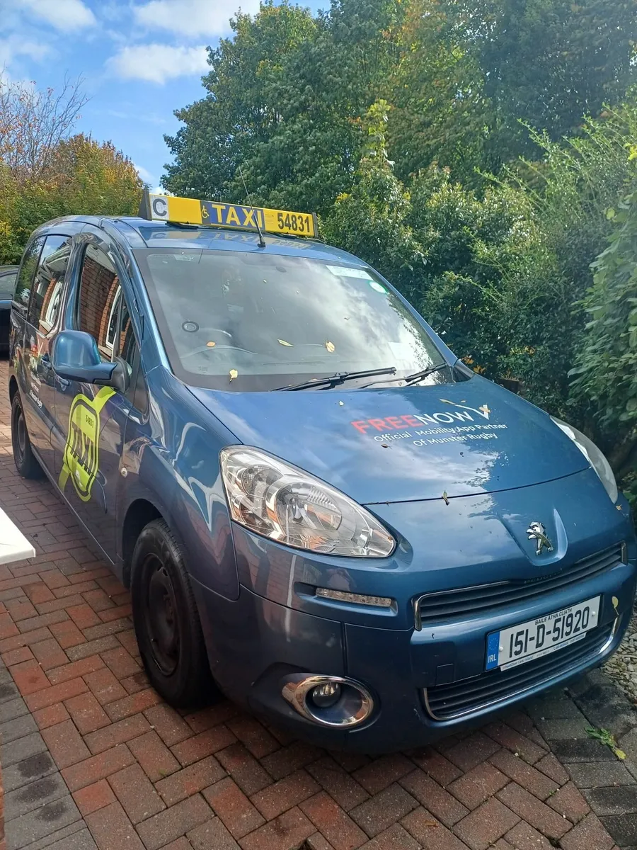 Wheelchair Accessible Taxi - Image 1