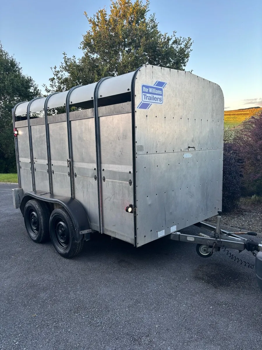Ifor williams 10x6 cattle box - Image 1