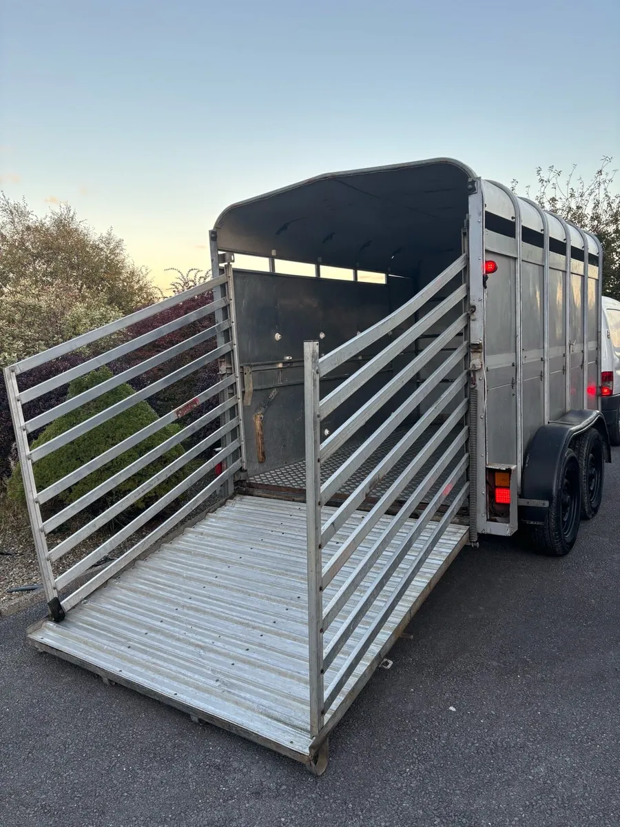 Ifor williams 10x6 cattle box - Image 2