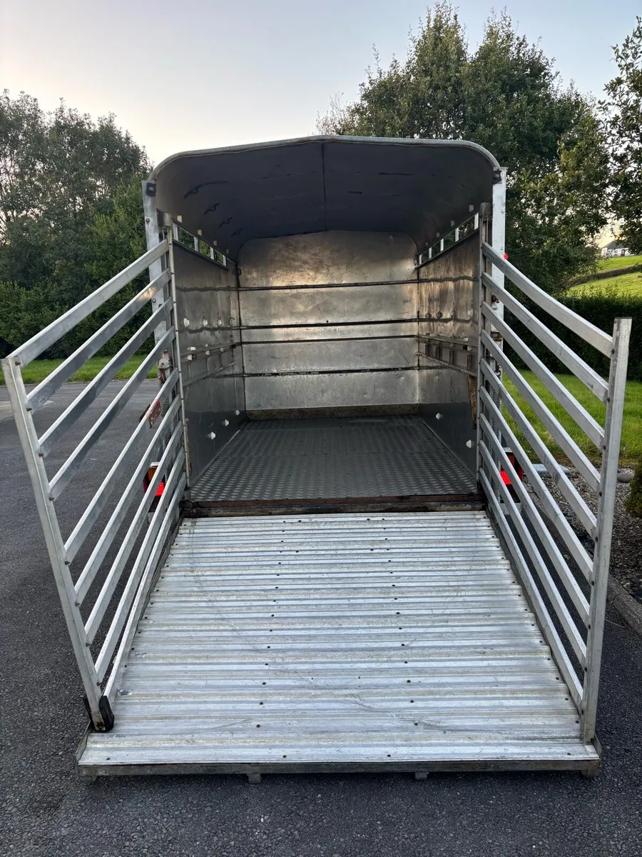Ifor williams 10x6 cattle box - Image 3