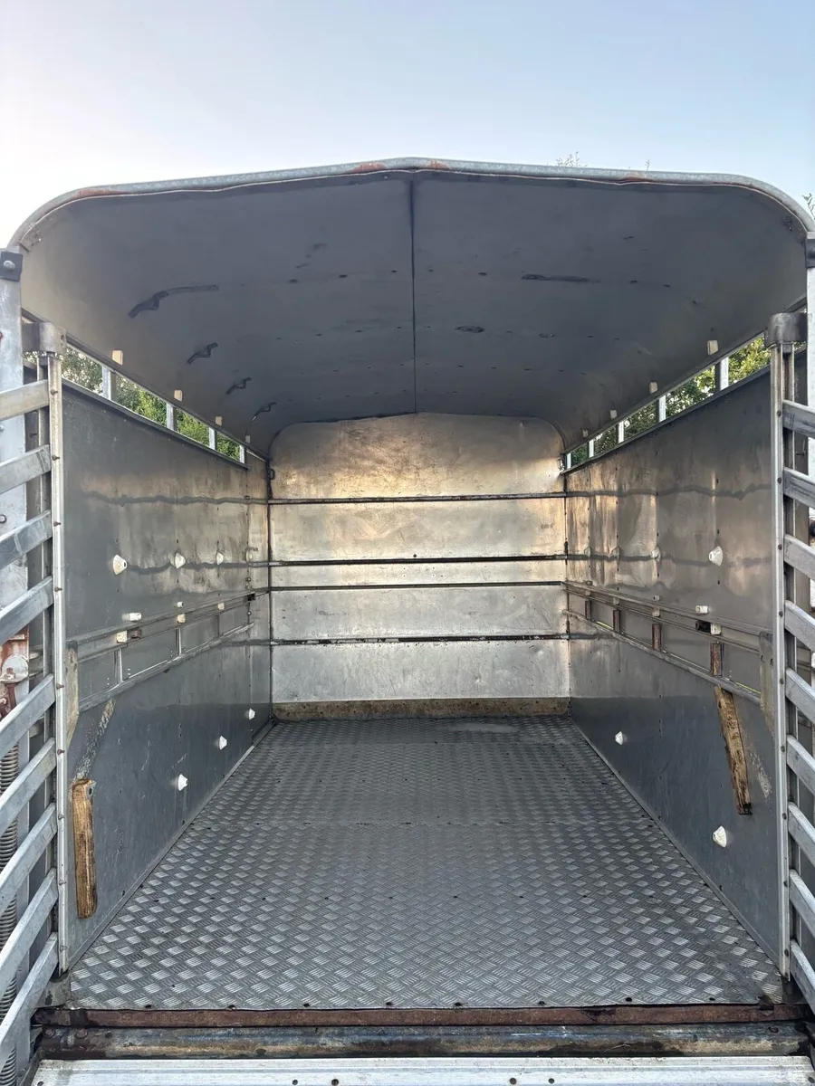 Ifor williams 10x6 cattle box - Image 4