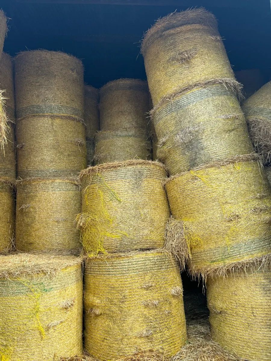 Straw