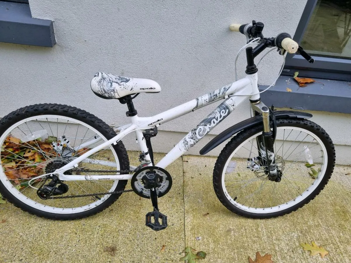 Girls Mountain Bike - Image 1