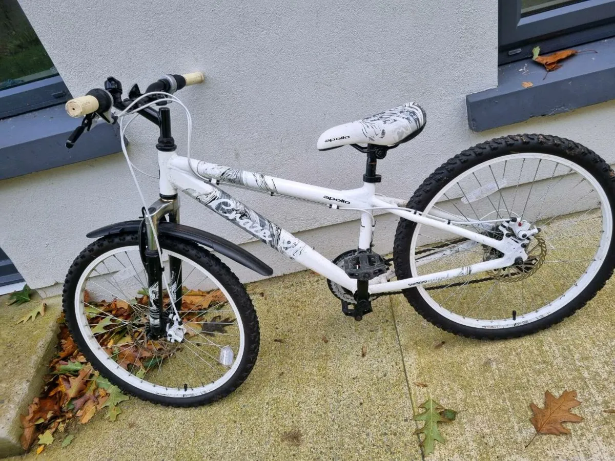 Girls Mountain Bike - Image 2