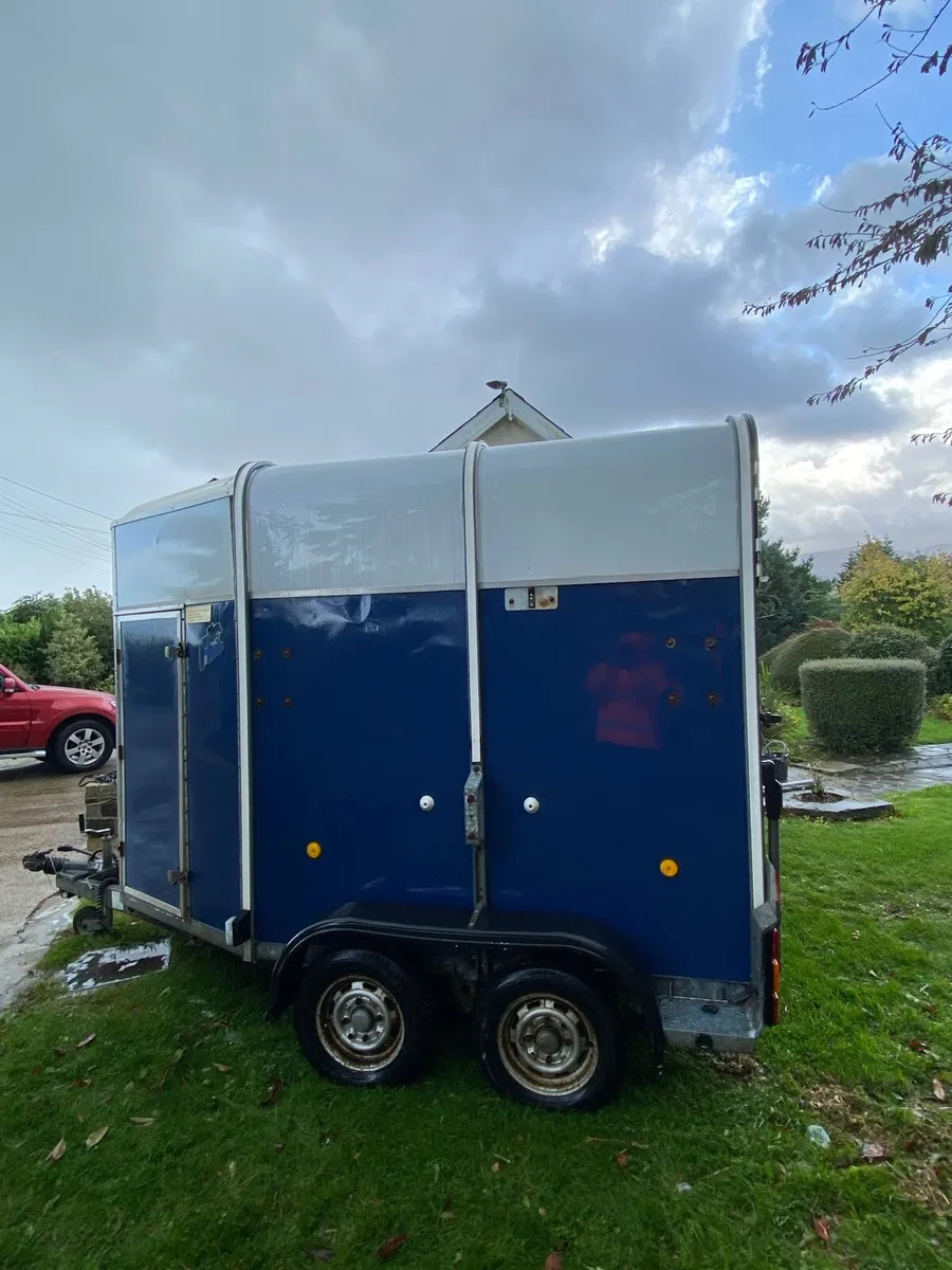 Horse box - Image 4