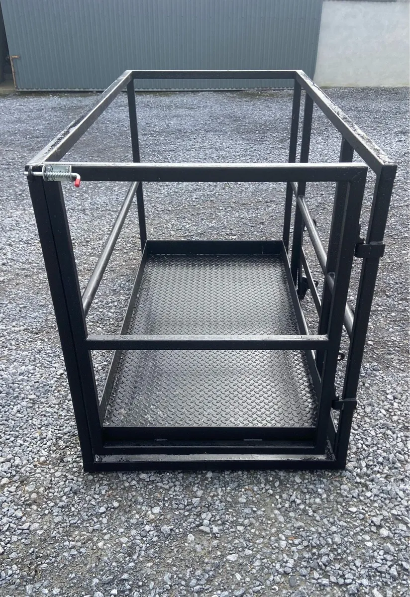 Man basket - Image 3