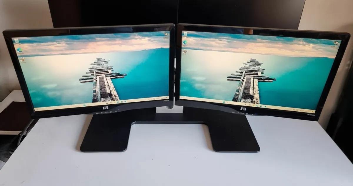 Dual 20" monitors and stand