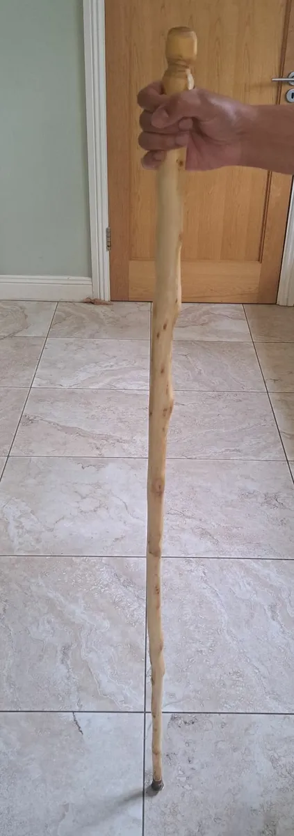 Hand Made walking Stick - Image 1