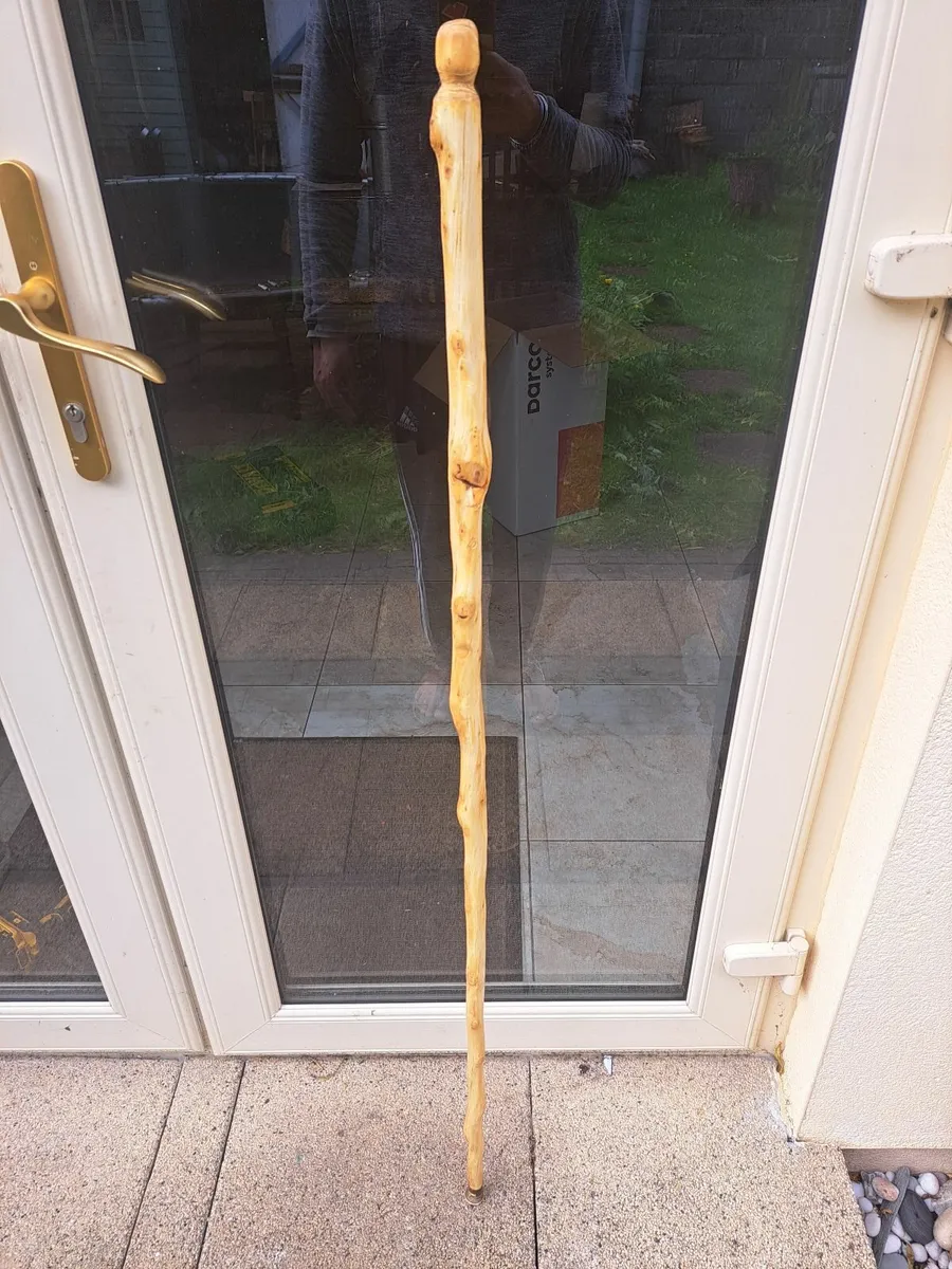Hand Made walking Stick - Image 2