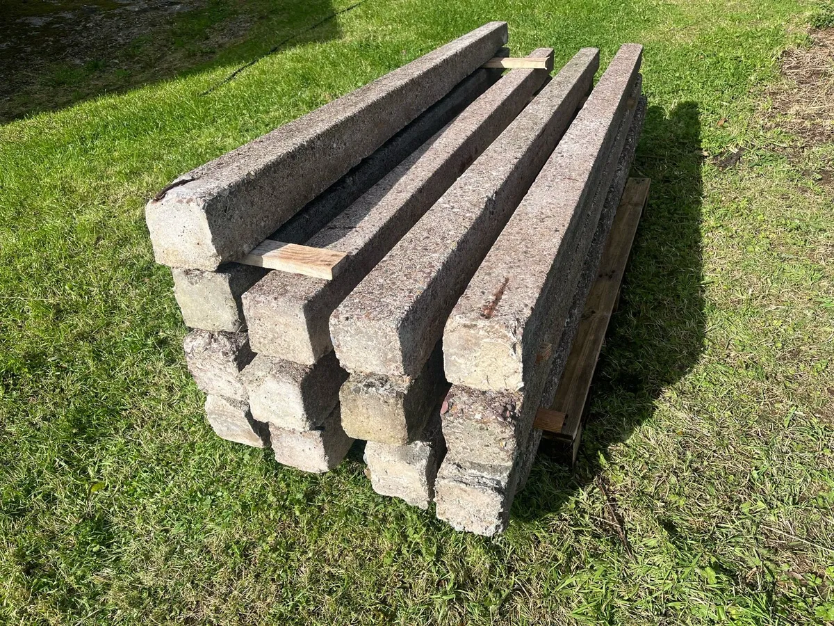 Concrete Fencing Posts - Image 1