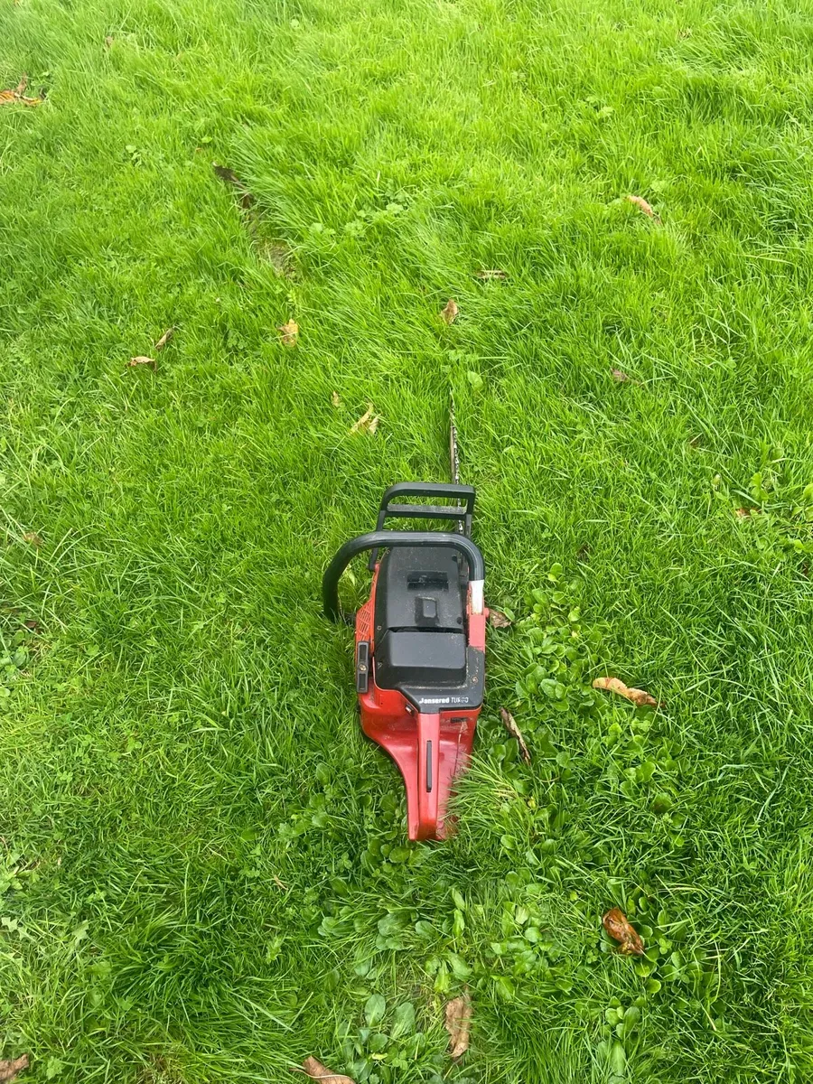 Chainsaw - Image 2