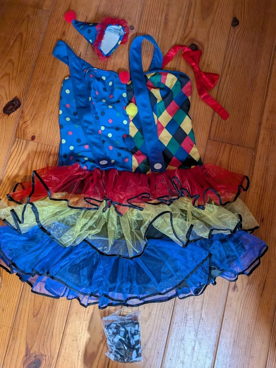 Halloween dress up costume - Image 1